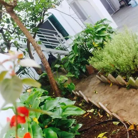 Villa La Pergola Di Amalia Sava Exterior foto