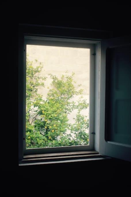 La Pergola Di Amalia Holiday home *